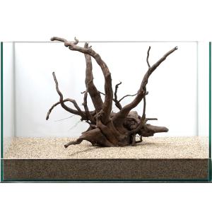 一点物 ルーツウッド 単体 45cm水槽用 852757