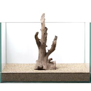 一点物 ホーンスタンプウッド 45cm水槽用 852810