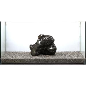 一点物 モロッコ産 直角石 オルソセラスの群生化石 47×27cm 部分