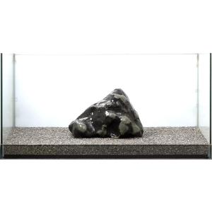 一点物 裂渓石 親石 60cm水槽用 880256 : チャーム charm