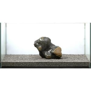 チャーム 碧海石 親石 90cm～120cm親石 チャーム（charm） 一点物 碧海石 親石 大型水槽用 857689