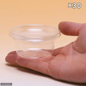 プリンカップ 小 約85ml×30個(DT81...の詳細画像1