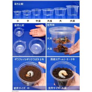 プリンカップ 大 約440ml×100個 (D...の詳細画像2