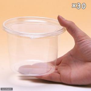 プリンカップ 大深 約680ml×30個 (D...の詳細画像1