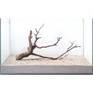60cm水槽用流木 レイアウト用品 水槽 アクアリウム用品 の商品一覧 熱帯魚 アクアリウム用品 ペット用品 生き物 通販 Yahoo ショッピング