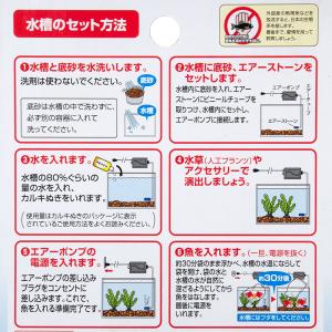 GEX 金魚飼育4点セット GF-1 30〜4...の詳細画像3