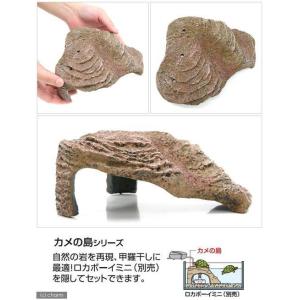 GEX カメ元気 カメの島 M-1 ジェックスの詳細画像1