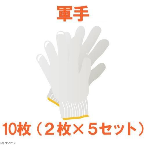 作業用軍手（おまかせ）　１組×５セット　１０枚