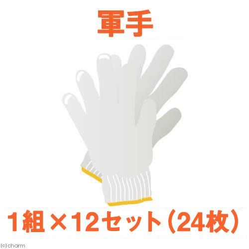 作業用軍手（おまかせ）　１組×１２セット（２４枚）