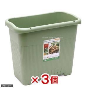 リッチェル　菜園上手　深５０型（グリーン）　３個　お一人様１点限り