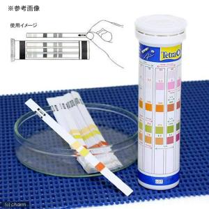 テトラテスト 5in1 マリン試験紙(海水用 ...の詳細画像1
