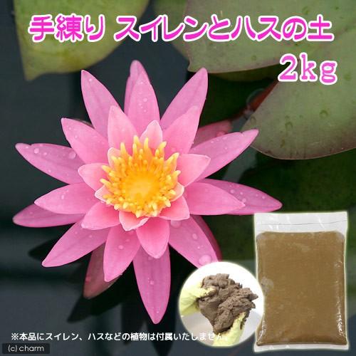 培養土　パッケージなし　手練りスイレンとハスの土（約２ｋｇ）（水生植物専用培養土）