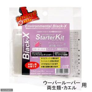 アウトレット品　Ｂｌａｃｋ−Ｘ　ブラックエックス　スターターキット　ウーパールーパー・両生類・カエル用　爬虫類　水質調整剤　訳あり｜chanet