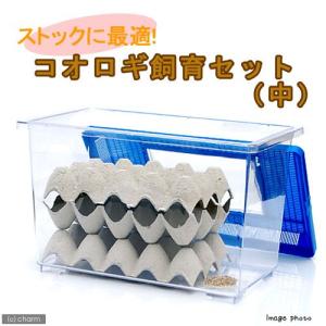 コオロギ飼育セット（中）（説明書付）レッドローチやデュビアの飼育にも！　お一人様１点限り