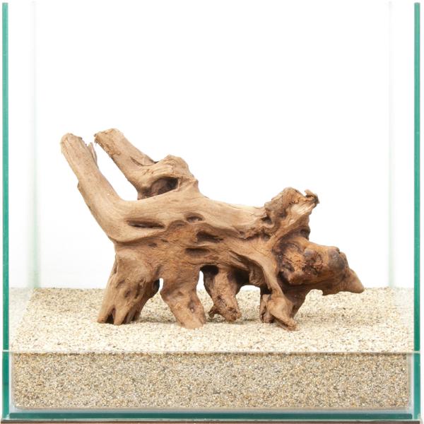 一点物　上質流木　雅　３０ｃｍ水槽用　８８０４２０