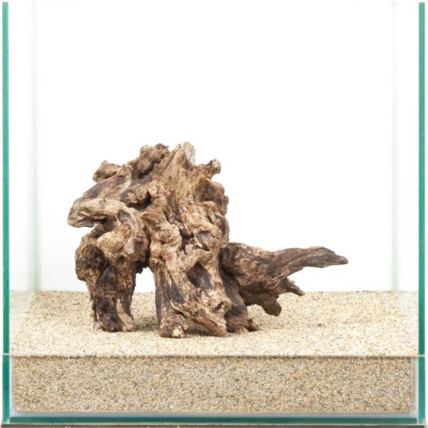 一点物　ディアーホーンウッド　３０ｃｍ水槽用　８８０５０９