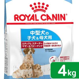 �X�^�[�^�[4kg