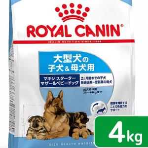 �X�^�[�^�[4kg