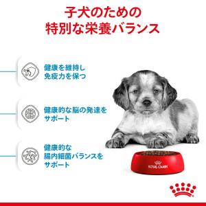 ロイヤルカナン ミディアム パピー 子犬用 1...の詳細画像3