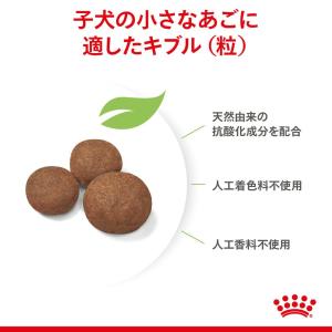 ロイヤルカナン ミディアム パピー 子犬用 1...の詳細画像4