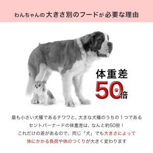 ロイヤルカナン ミディアム アダルト 成犬用 ...の詳細画像2