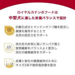 ロイヤルカナン ミディアム アダルト 成犬用 ...の詳細画像5