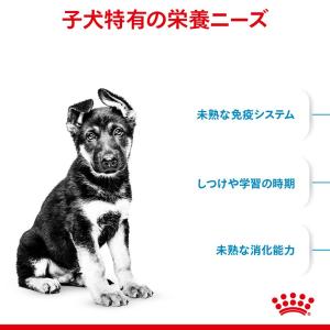 ロイヤルカナン マキシ パピー 子犬用 10k...の詳細画像2