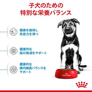 ロイヤルカナン マキシ パピー 子犬用 10k...の詳細画像3