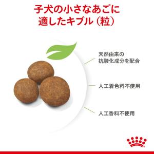 ロイヤルカナン マキシ パピー 子犬用 10k...の詳細画像4