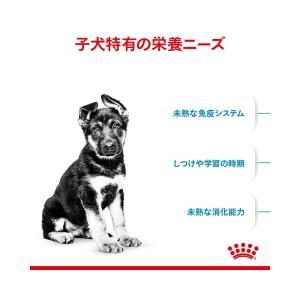 ロイヤルカナン マキシ パピー 子犬用 15k...の詳細画像2