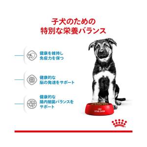ロイヤルカナン マキシ パピー 子犬用 15k...の詳細画像3