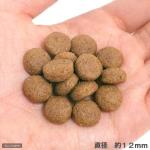 ロイヤルカナン マキシ パピー 子犬用 15k...の詳細画像5
