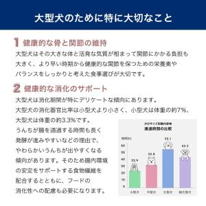 ロイヤルカナン マキシ アダルト 成犬用 15...の詳細画像4