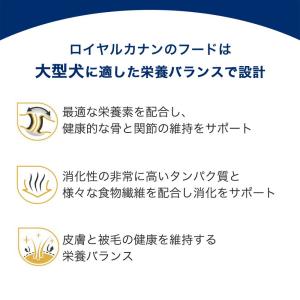 ロイヤルカナン マキシ アダルト 成犬用 15...の詳細画像5