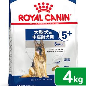 �����E����p4kg