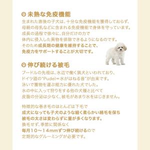 ロイヤルカナン プードル 子犬用 1.5kg ...の詳細画像3