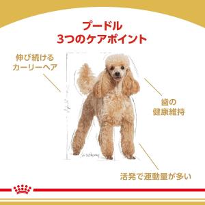 ロイヤルカナン プードル 成犬用 7.5kg ...の詳細画像2
