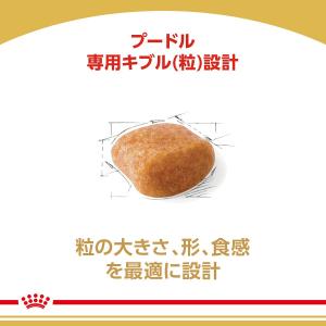 ロイヤルカナン プードル 成犬用 7.5kg ...の詳細画像5