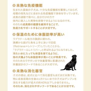 ロイヤルカナン ラブラドールレトリバー 子犬用...の詳細画像3