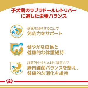 ロイヤルカナン ラブラドールレトリバー 子犬用...の詳細画像4