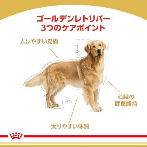 ロイヤルカナン ゴールデンレトリバー 成犬・高...の詳細画像2