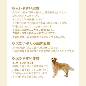 ロイヤルカナン ゴールデンレトリバー 成犬・高...の詳細画像3