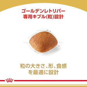 ロイヤルカナン ゴールデンレトリバー 成犬・高...の詳細画像5