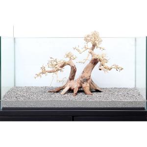 盆栽 流木 水槽 流木 レイアウト用品 水槽 アクアリウム用品 の商品一覧 熱帯魚 アクアリウム用品 ペット用品 生き物 通販 Yahoo ショッピング