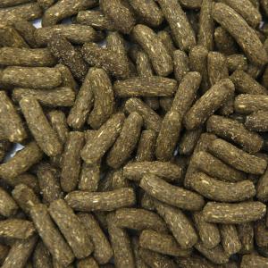 国産 デグーの食事プレミアム 300g ステビ...の詳細画像2