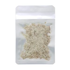 アウトレット品　プロバグズ　真空パック生昆虫　ライスワーム　１５ｇ　常温保存可　生餌　生き餌　餌　フード　訳あり