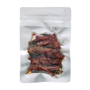 大型魚 　生餌　生き餌 