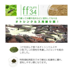 ff num34 オトシンクルス用 練りエサ ...の詳細画像2