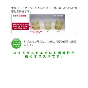 ff num34 オトシンクルス用 練りエサ ...の詳細画像3