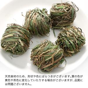 国産 旬のやわらかイタリアンライグラスで作った...の詳細画像4
